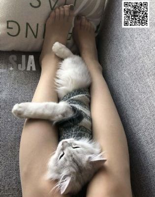 大江大河第3部53集免费观看大陆_BD韩语高清迅雷在线观看