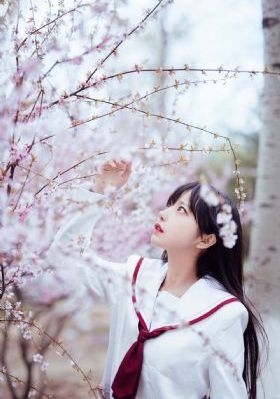 触不可及电影完整版_720在线播放观看